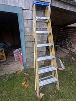 Ladder standing upright against a wall outside, showing full height and steps.