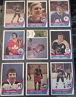 Front view of nine O-Pee-Chee WHL hockey trading cards featuring color player photos and team logos for 1974-75 and 1977-78 seasons.