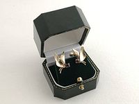 Pair of earrings displayed in green jewelry box, angled front view