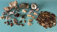 Overview of mixed assortment of arrowheads, mineral rocks, and fossil specimens arranged on a white surface. Includes coral fossil, geodes, and several uniquely colored arrowheads.