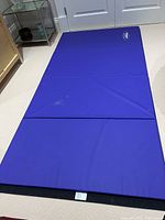 Full view of the large unfolded royal blue gym mat laid out on carpet floor showing the 3-panel segments and visible small stains.