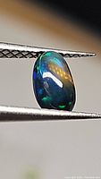 Close-up image of a natural Ethiopian black opal oval cabochon showing multicolored play-of-color held by tweezers.