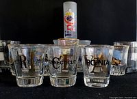 Clear glass shot glasses with black and gold state names and initials Rhode Island, Connecticut, Virginia shown in close-up