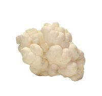 White lumpy mineral specimen with rounded botryoidal form