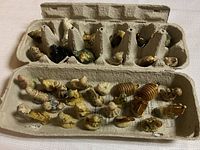 Top-down view of 35 Wade ceramic miniature figurines arranged in two egg cartons. Different animal shapes and character figures visible, glazed in various colors including brown, cream, yellow, and black.