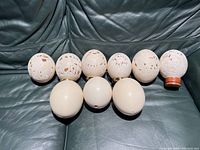 Overall view of nine ostrich eggs arranged in two rows on dark green surface