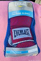 Photo showing pair of Everlast Advanced Training Gloves in sealed blue mesh carrying case, labeled 12 oz, boxing training gloves.