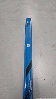 Close-up of the top part of the ski, showing the length 204 cm and graphics in blue and black.