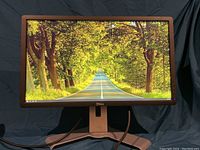 Front view of Dell 23-inch widescreen LED monitor powered on showing a road and tree scene in landscape mode.
