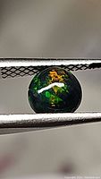 Close-up photo showing the round black opal with predominant green and orange color flashes held by tweezers against a gray background.