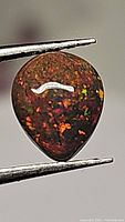 Close-up image showing pear-shaped black opal gemstone with bright multicolored flashes of red, orange, green, and other hues, polished surface reflecting light.