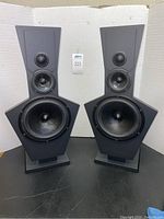 Front view of both speakers side by side on integrated platforms