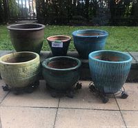 Front view of six ceramic pots arranged on patio curb, three on wheeled caddies, grass and fence background