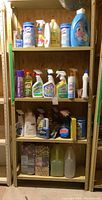 Shelf showing various spray bottles and detergent bottles including Lysol wipes, Fantastik, Filler detergent