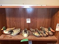 Five hand-painted wooden duck decoys displayed on wooden shelves, different species and sizes visible.