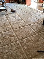 Photo of large cream colored rug with a raised square geometric pattern, placed in living room area with wood floors visible.