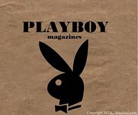 Cover photo showing the Playboy logo on a textured background.