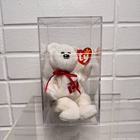 Ty Beanie Baby plush bear in clear protective display case, showing front and side profile with tag visible.