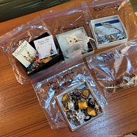 Five labeled plastic bags containing assorted jewelry including rings and earrings, with visible pairs and various styles.