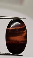 Front view of natural red tiger's eye oval cabochon held in tweezers showing smooth polished surface and reddish-brown color with chatoyancy.