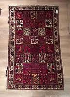 Full view of the rug showing overall design and colors.