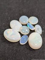 Nine loose opal gemstones arranged on black background showing color play and shape variety.
