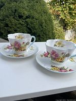 Two Shelley Begonia cups and saucers placed on a white surface with greenery in the background, showing floral pattern and shape.