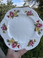 Front view of Shelley Begonia dinner plate showing floral pattern and scalloped edges.
