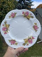 Front view of Shelley Begonia fine china dinner plate showing floral pattern and fluted edges.
