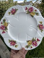 Front view of Shelley Begonia dinner plate showing floral motif and embossed scalloped edges