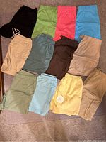 Photo of 14 shorts in assorted colors including black, various shades of green, coral pink, light blue, beige, brown, mint green, yellow, and khaki.