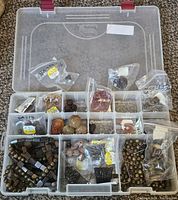 Wide view inside plastic container showing compartments filled with various jade and ornamental beads and carvings.