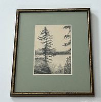 Full view of framed ink wash painting of lake scene with trees and hills by C.W. Nevin.