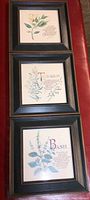 Three square 11" framed botanical prints depicting kitchen herbs Bay, Tarragon, and Basil with descriptive text