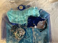 Photo of child's Frozen dress, blue reversible sequin purse, and assorted jewelry laid out together.
