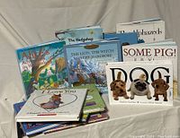 Photo showing 12 hardcover children's picture books arranged in stacks and rows, titles visible include Alice's Adventures in Wonderland, The Lion The Witch and The Wardrobe, Some Pig!, Dog, I Love You.