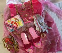 Photo showing full set including Sleeping Beauty dress, pink shoes, silver gloves, Disney princess purse, and child costume jewelry.