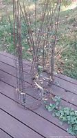Three used metal tomato cages standing upright on outdoor wooden deck with grass and plants visible in the background. The cages show rust and wear.