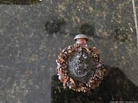 Full view of the carved amber bottle showing floral and leaf patterns with silver cameo medallion on center