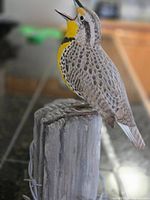 Side angle showing lifelike hand carved wooden bird painted with gray, yellow, white and black details standing on a weathered wood block base with barbed wire wrapped around it.