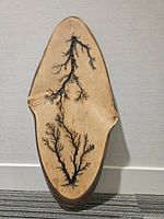 Front view of a natural maple wood slice with black vein designs resembling natural wood burns or Lichtenberg patterns, smooth polished surface, and preserved bark edges.