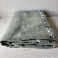 Folded powder blue wool blanket showing overall color and texture with the flowery trim edge.
