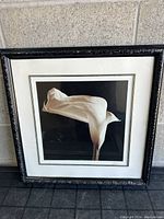 Front view of the framed print showing a single white calla lily on a dark background with ornate black frame and white matting.