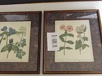 Two framed vintage Bombay botanical prints side by side showing full frames and matting with paper print detailing flowers and leaves.