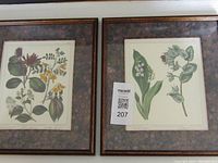 Two framed vintage botanical prints shown side by side on a surface with a MaxSold lot card labeled 207.