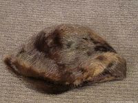 Side angle of a vintage women's fur hat, showing its rounded shape and fur texture.