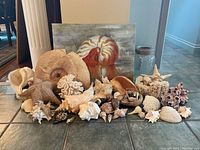 Wide shot of all shells arranged with nautilus painting and glass jar
