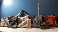 Wide angle photo showing six purses lined up side by side in various colors and styles including printed, black, cream, gray, orange-brown, and pewter color.