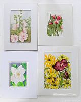 Four matted original watercolour paintings arranged on a white surface, each depicting floral subjects in vibrant colors, signed by the artists.