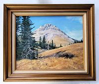 Front view of the oil painting framed, showing the mountain landscape with trees and grass in natural colors.